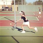 10/1/13 - Basha v. Hamilton